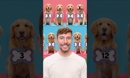 Find Your Dog, Win $10,000