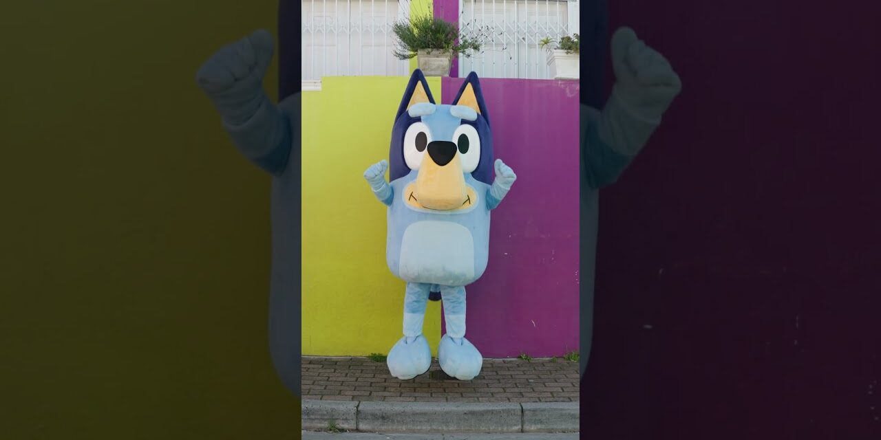 Bluey’s Exploring Cape Town #BlueysBigPlaySA
