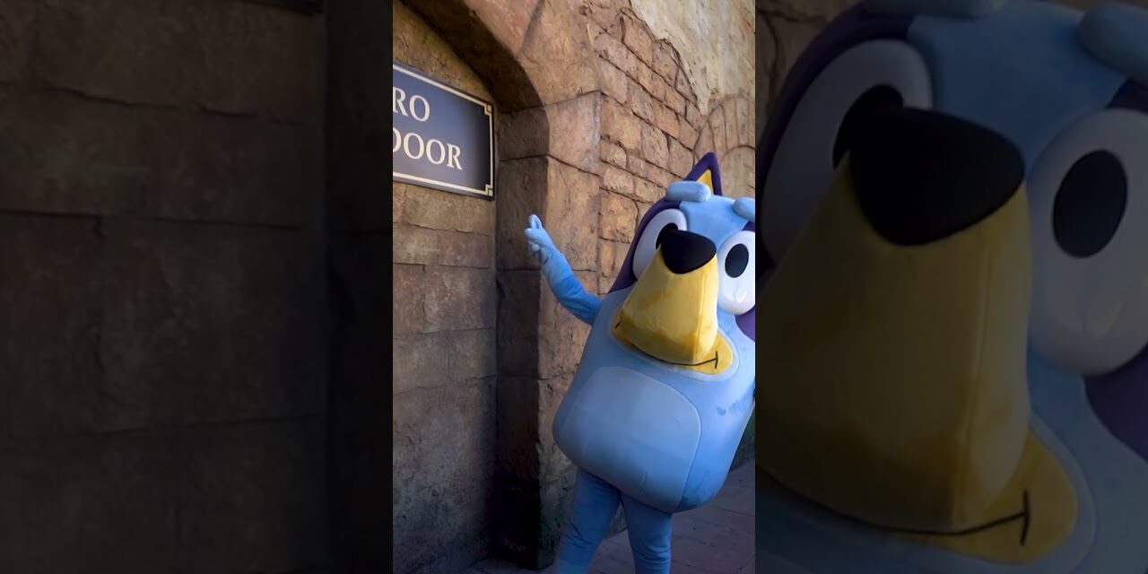 Bluey’s Final Week at Montecasino