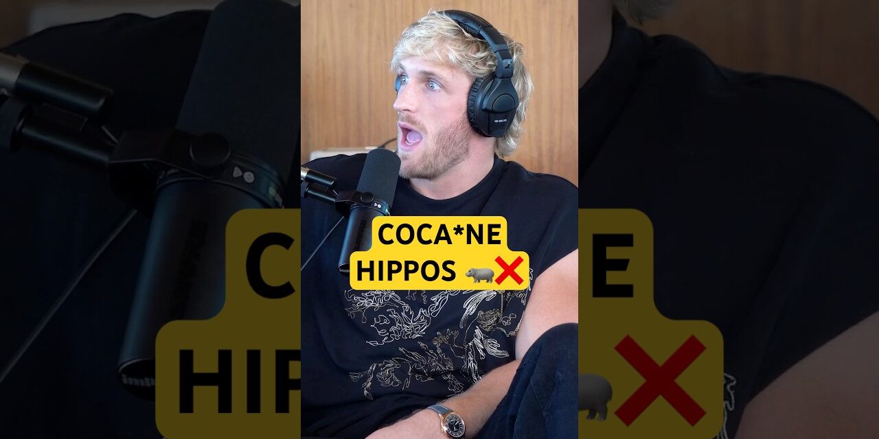 Why Hippos Are SO DANGEROUS 🦛⚠️