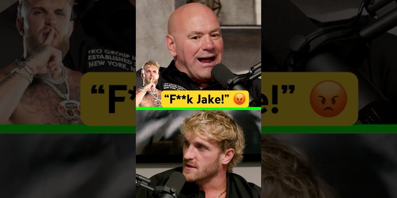 Why Dana HATES Jake Paul 😡🔥