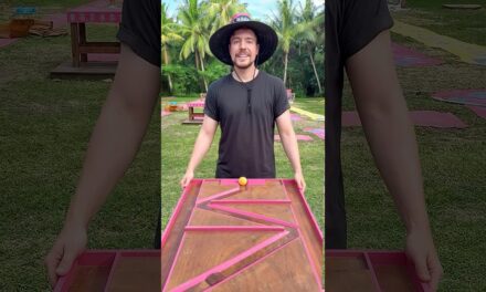 Survivor vs Beast Games