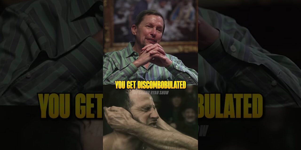 This is What the Discombobulator Feels Like 🤯