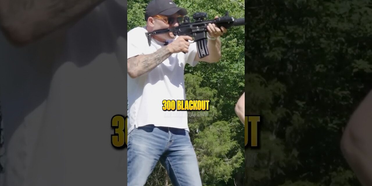 DEVGRU Operator Tests the SIG MCX Rattler 🤯